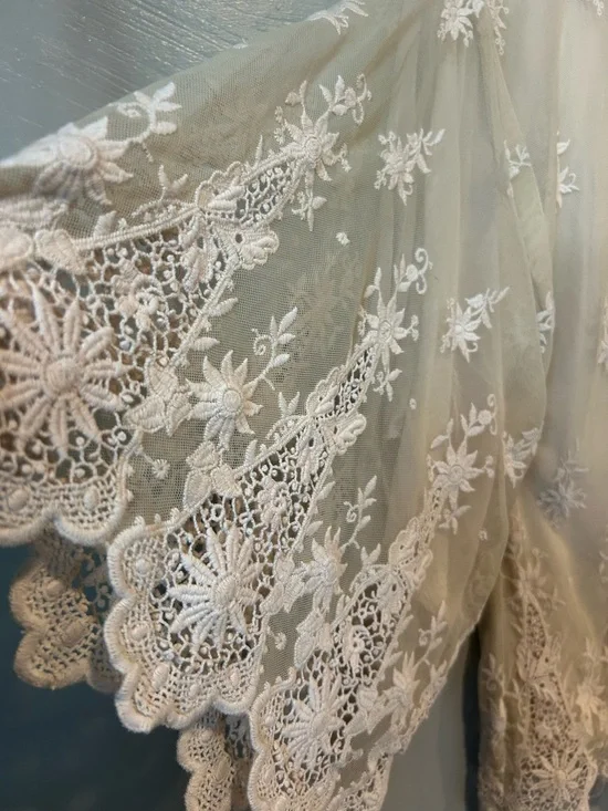 Zara Sheer Embroidered Kimono in Beige with White Lace - Picture 8 of 16